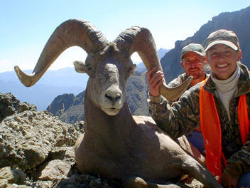 Wyoming Big Horn Sheep Hunting Picture