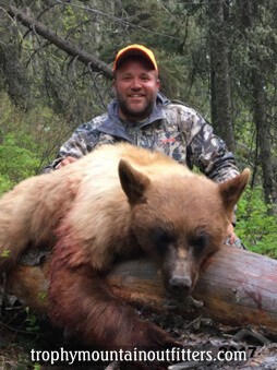 Wyoming Spring Black Bear hunting guide Trophy Mountain Outfitters