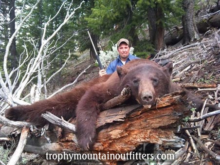 Wyoming Spring Black Bear hunting guide Trophy Mountain Outfitters