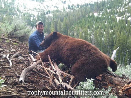 Wyoming Spring Black Bear hunting guide Trophy Mountain Outfitters