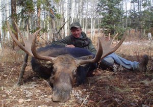 Wyoming Moose Hunting Trophy Mountain Outfitters