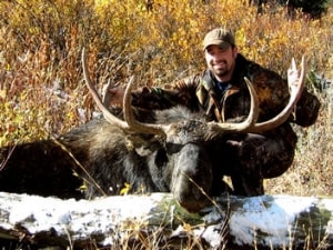 Wyoming Moose Hunting Trophy Mountain Outfitters