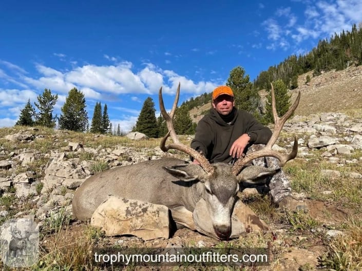 Wyoming Trophy Mule Deer Hunt