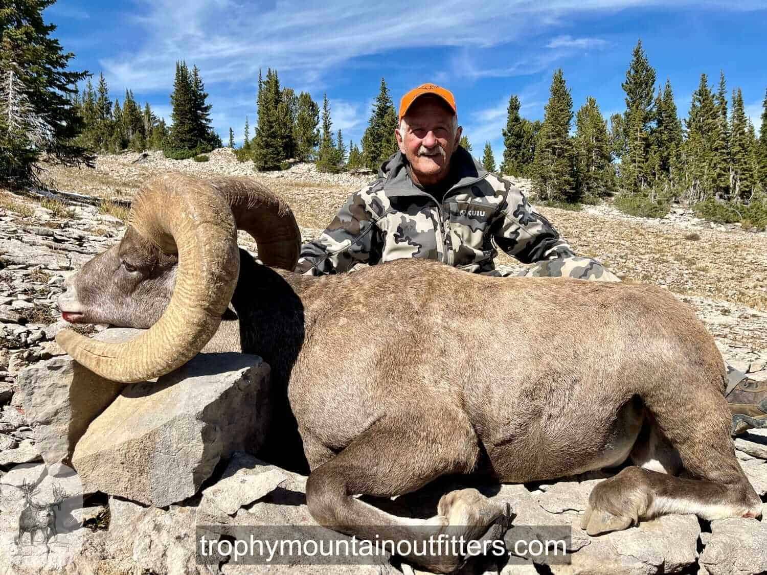 Bighorn Sheep Hunting