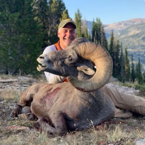 Big Horn Sheep Hunting Guide Wyoming