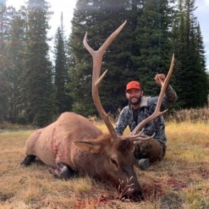 Elk Hunting Guides in Wyoming