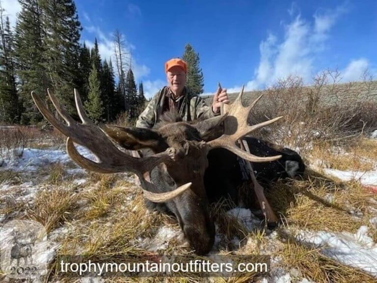 Wyoming Moose Hunting Trophy Mountain Outfitters